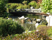 Kinesiologie für mehr Harmonie!